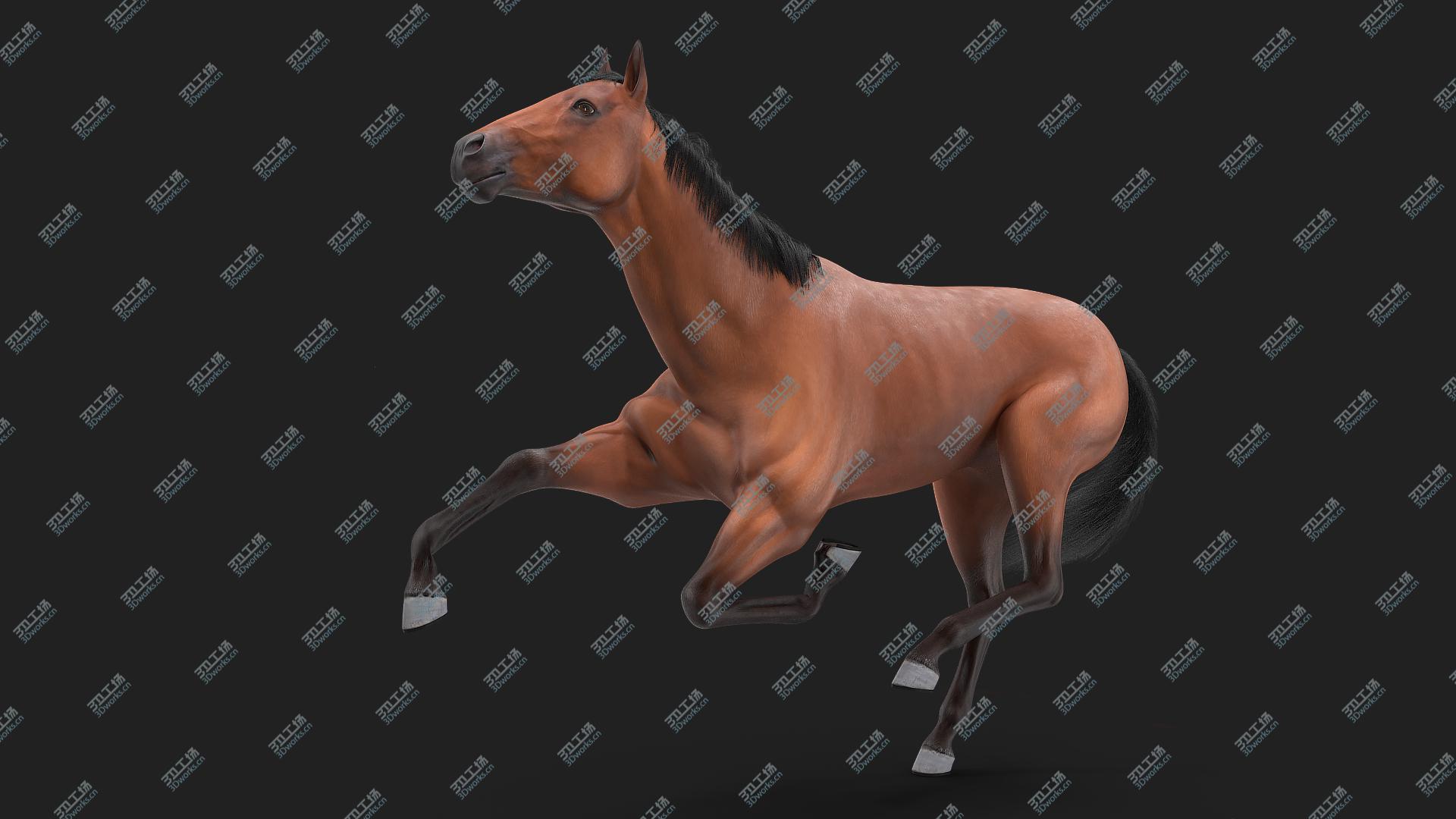 images/goods_img/20210319/Bay Horse Fur Rigged 3D model/2.jpg